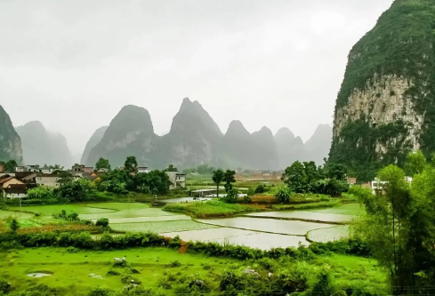 1717137167265327.png image.png