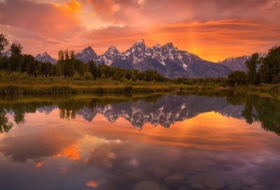 ​山东高考作文