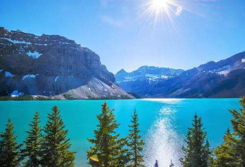 1717138000528163.png image.png