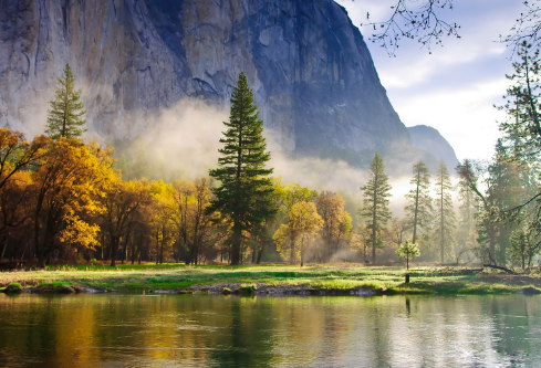 1717155120287045.png image.png