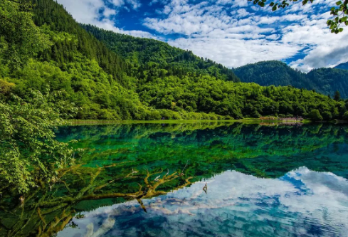 1717155287488835.png image.png