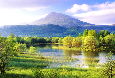 1717156119308912.png image.png