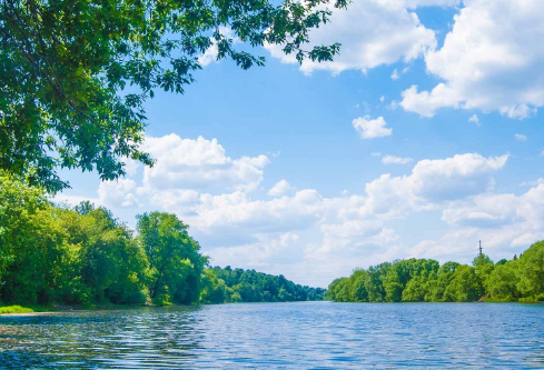 1717156452491439.png image.png