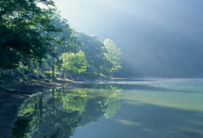 ​异地年检委托书