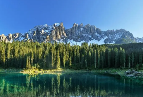 1717157118830195.png image.png