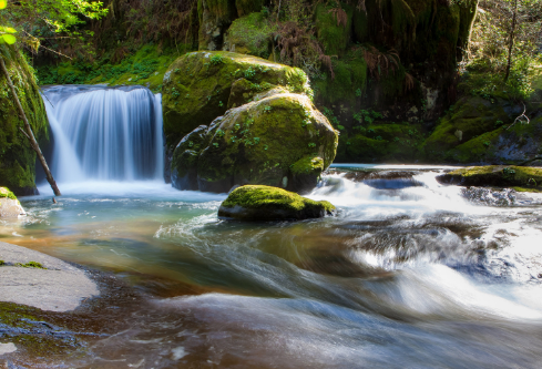 1717158784116149.png image.png