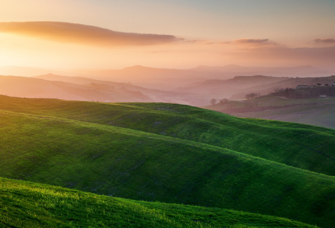 1717161947457985.png image.png