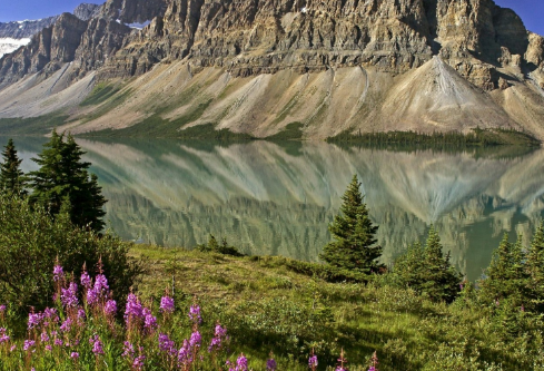 1717162446799228.png image.png