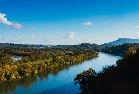 1717162946923252.png image.png