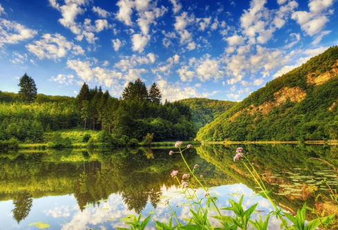 1717163612100968.png image.png