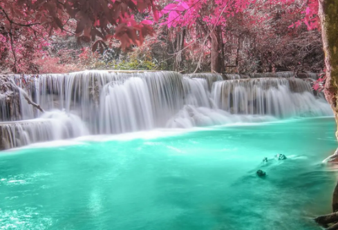 1717164945730210.png image.png