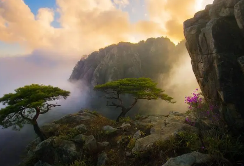 1717165111446601.png image.png