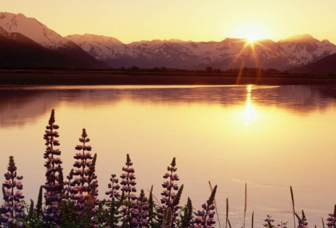 1717165777665210.png image.png