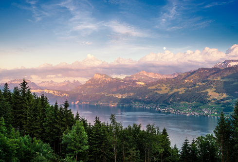 1717168441933089.png image.png