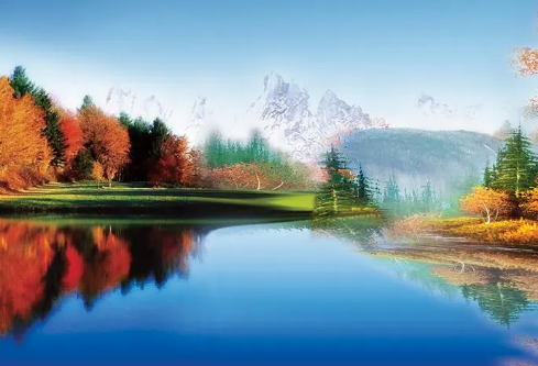 1717169107608096.png image.png