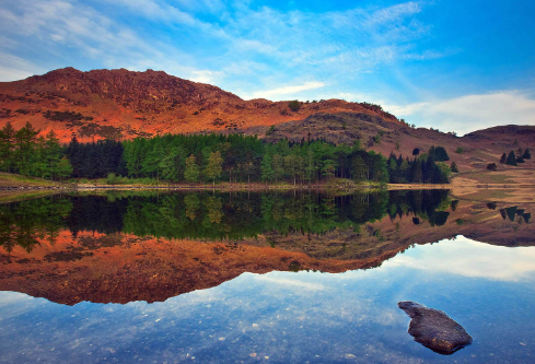 1717170773571204.png image.png