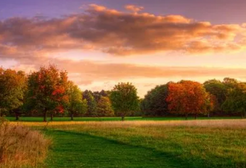 1717171439909314.png image.png