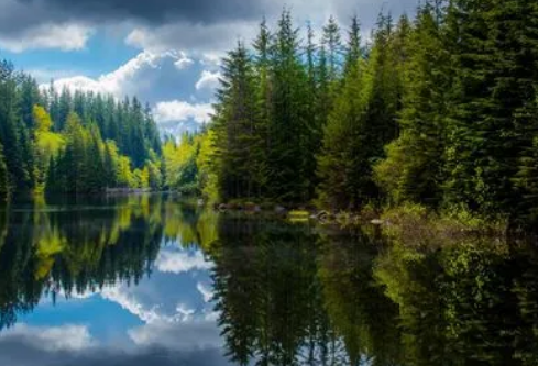 1717172105322229.png image.png