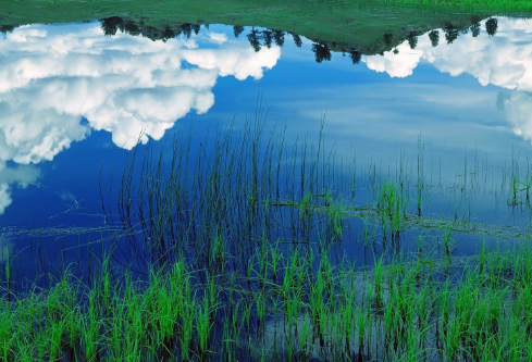 1717177263936023.png image.png