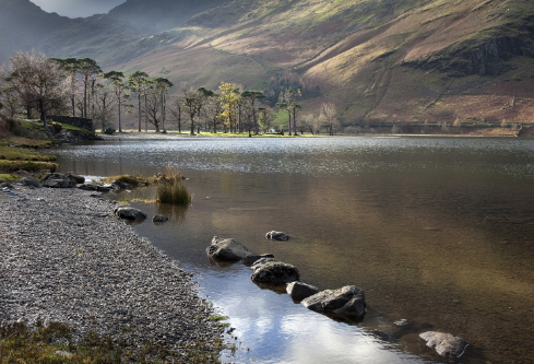 1717178927483481.png image.png