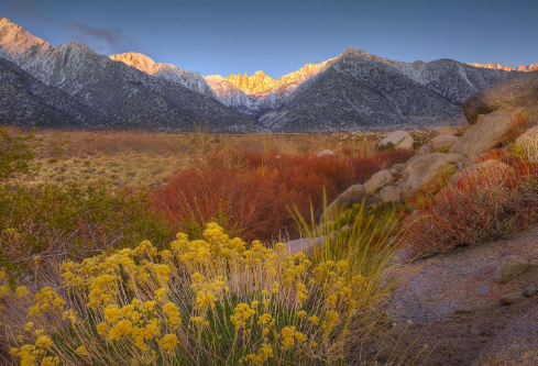 1717189244302498.png image.png