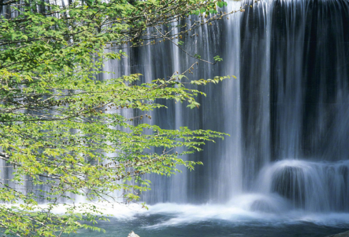 1717190076213502.png image.png