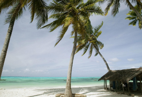 1717192572622080.png image.png