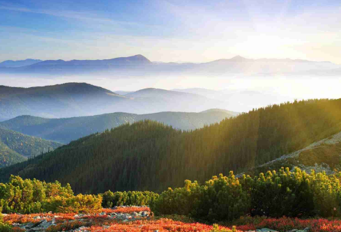 1717194737888675.png image.png