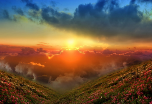 1717194904613649.png image.png