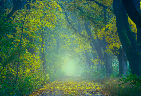 1717195070307963.png image.png