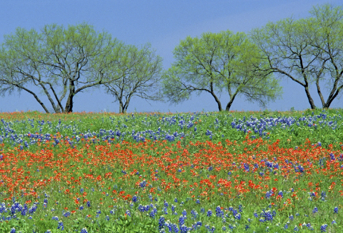 1717195736819193.png image.png