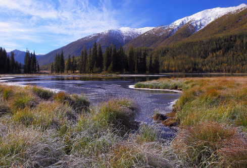 1717196235500443.png image.png