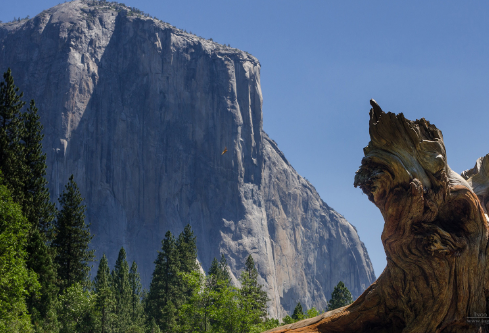 1717197234499763.png image.png