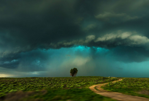 1717200565523978.png image.png