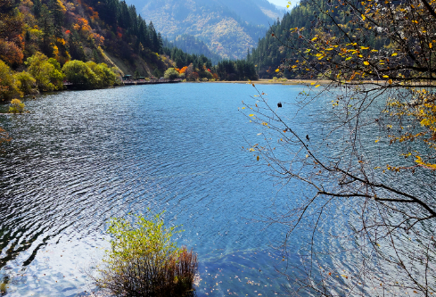 1717201897562166.png image.png