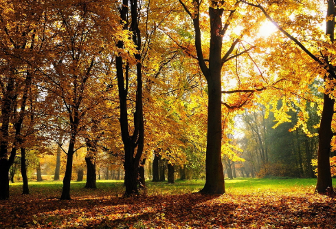 1717205228766527.png image.png