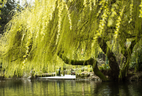 1717205728577869.png image.png