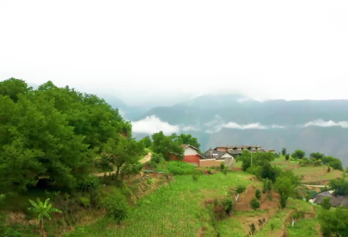 1717206227119457.png image.png