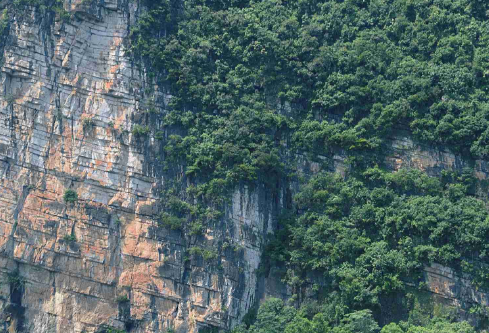 1717206560207223.png image.png