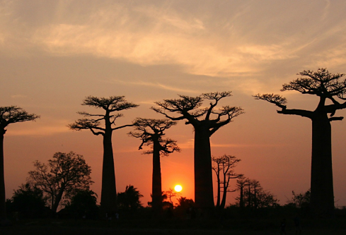 1717207059695979.png image.png