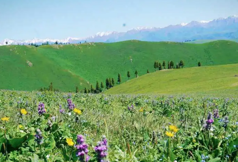 1717207559132329.png image.png