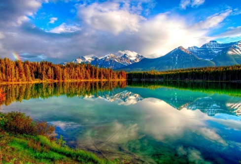 1717207726839720.png image.png