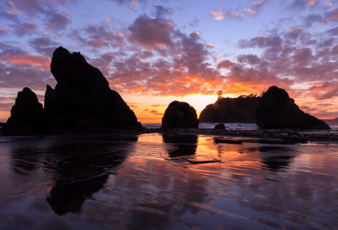 1717211555972976.png image.png