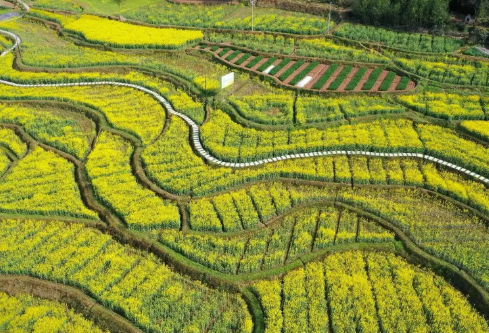 1717215548111423.png image.png