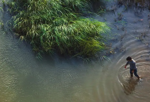 1717216712582817.png image.png