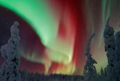 1717218043463082.png image.png