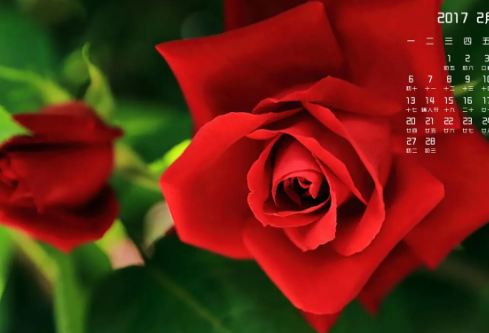 1717218542230235.png image.png