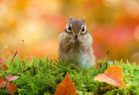 1717220540362532.png image.png