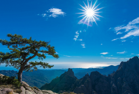 1717223005289713.png image.png