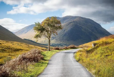 ​写机器人的作文